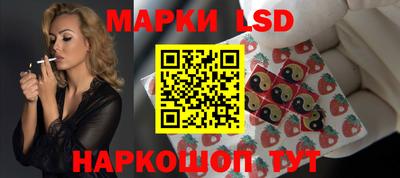 гидропоника Будённовск