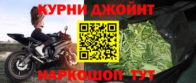 гидропоника Будённовск